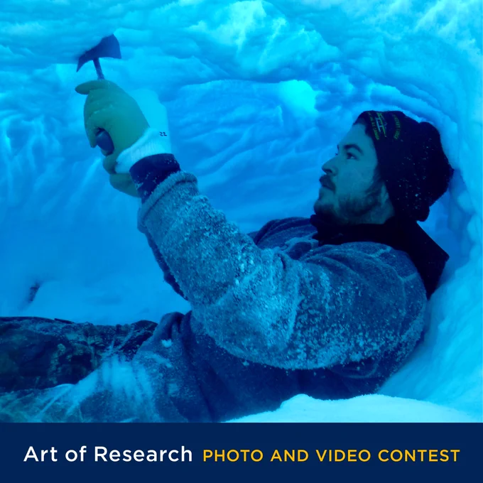 Art of Research Photo and Video Contest
Photo: Polar bear denning by Scott Arlidge, MES Student, Coral Harbour, Nunavut