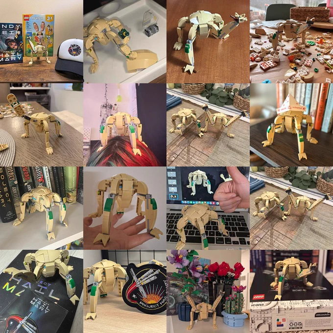 a grid of other user's posts of various LEGO brick-built rockies based on Jordan's custom design, posed with various Project Hail Mary pins, patches, books, hats, and LEGO flowers