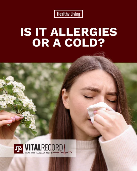A person holding a tissue to their nose stands next to blooming flowers. The text reads, "Healthy Living: Is it allergies or a cold?" A banner at the bottom displays the Texas A&M Health Vital Record logo.