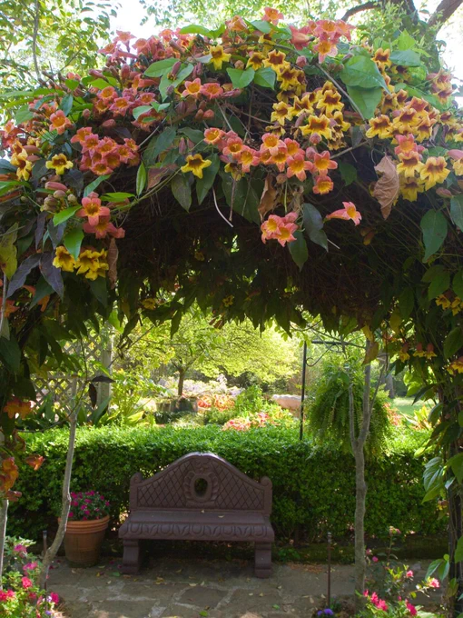 photo of a flower arch over a bench