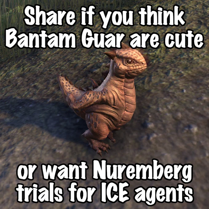 A picture of an adorable ESO Bantam Guar. Text on the top and bottom of the image reads: "Share if you think Bantam Guar are cute or want Nuremberg trials for ICE agents".