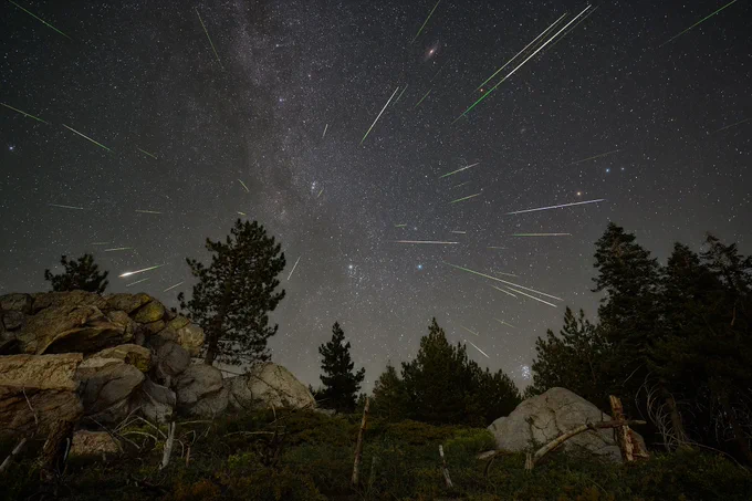 A long-exposure photo of rocks and trees silhouetted by a starry night sky. Several meteors are visible as thin streaks of light radiating from a single point in the sky near the center of the frame.