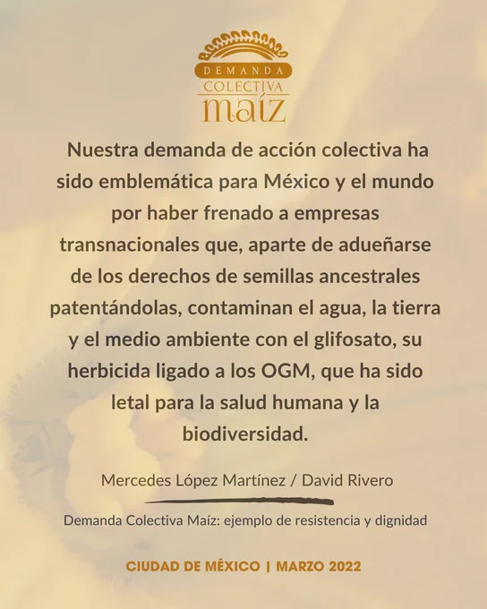 Esta ha sido una de las mayores victorias: la suspensión de permisos de siembra de maíz genéticamente modificado en todo el país.



