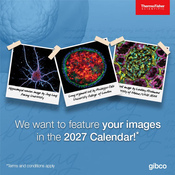 Calendar Contest Image