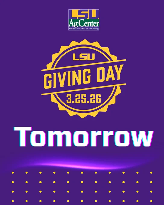 A graphic that says tomorrow with the LSU AgCenter and Giving day logos