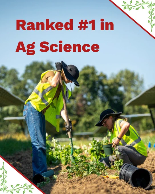 Students working in a field. Text reads "Ranked #1 in Ag Science"