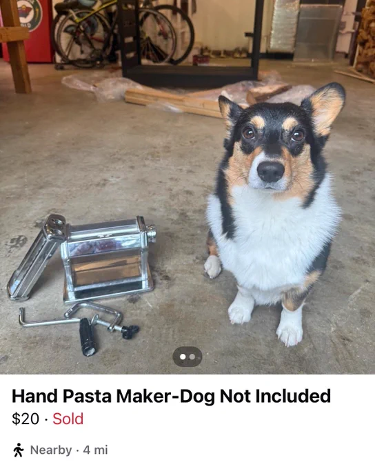 a screenshot of a Facebook Marketplace ad in which a tricolor corgi sits on a concrete floor next to a disassembled hand-crank pasta roller. the listing is titled “Hand Pasta Maker - Dog Not Included,” and the item sold for $20.