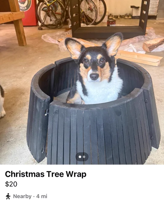 Cannoli the corgi sits in the middle of a tall black Christmas tree wrap-around that appears to come in four parts and is available for $20.