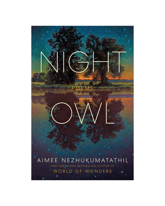 Night Owl book cover
