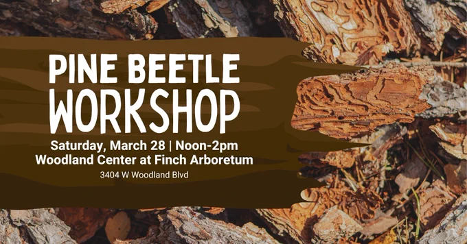 Pine Beetle Workshop. Saturday, March 28, noon - 2pm at the Woodland Center in Finch Arboretum. 3404 W Woodland Blvd.