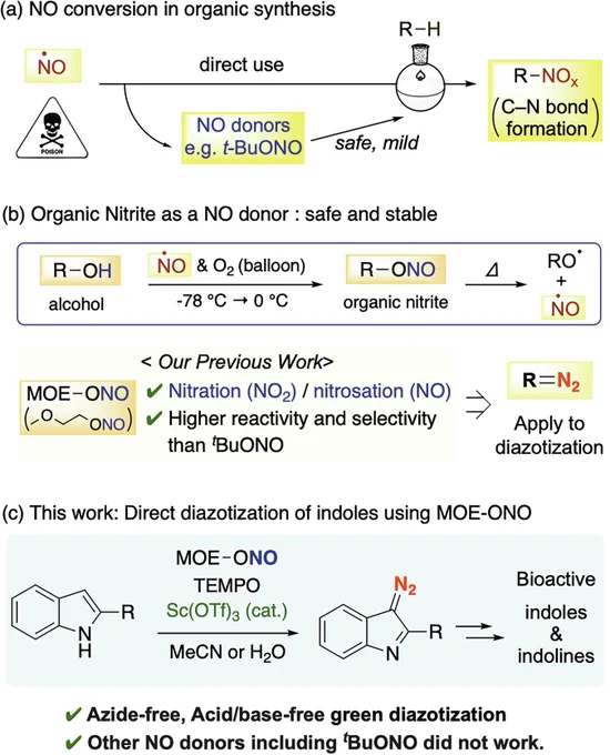 Scheme 1
MOE-ONO as a NO donor, and its application to direct diazotization.