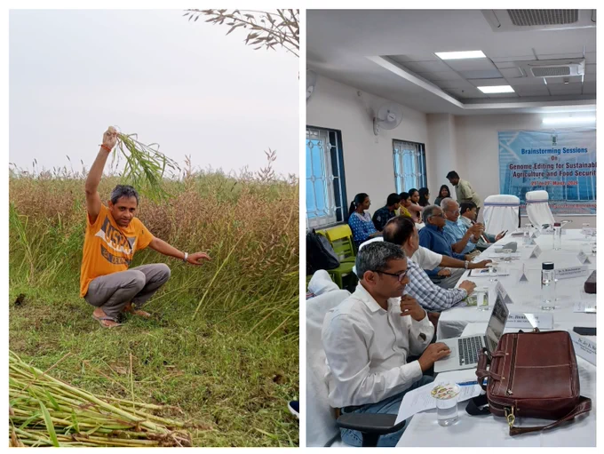 Farmer on Sunday, scientist on Wednesday! enjoying this double role!