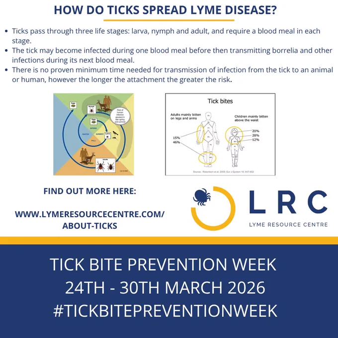 Image shows blue text on white background describing the lifecycle stages of ticks. An infographic depicts the lifecycle stages of ticks and how infections are transmitted whilst a second image shows where ticks are most likely to be found on human adults and children. A link to the Lyme Resource Centre website will provide further information about ticks.