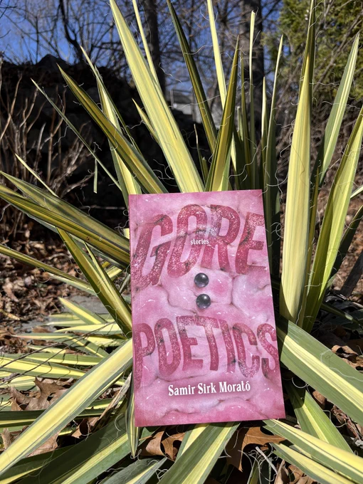 I posed this gross book with my yucca plant because they are both spiky and dangerous