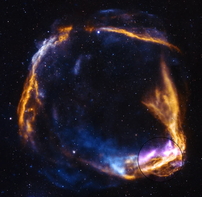 In this image of RCW 86, the data appears like a golden ring in the sky with hints of blues and purples in some areas. NASA\u2019s IXPE data is showcased in a circled region in the bottom right side of the ring. The full image also includes legacy observations from two other X-ray telescopes: NASA\u2019s Chandra and the ESA (European Space Agency) XMM-Newton telescope. Yellow represents low-energy X-rays, while blue shows high-energy X-rays detected by Chandra and XMM-Newton. The starfield in the image comes from the National Science Foundation\u2019s National Optical-Infrared Astronomy Research Laboratory (NOIRLab).