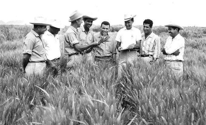 A group of individuals and Norman Borlaug are standing in a field of crops, engaging in conversation. They are dressed in casual outdoor clothing and hats. The setting appears agricultural, with tall crops in the foreground and open sky in the background.