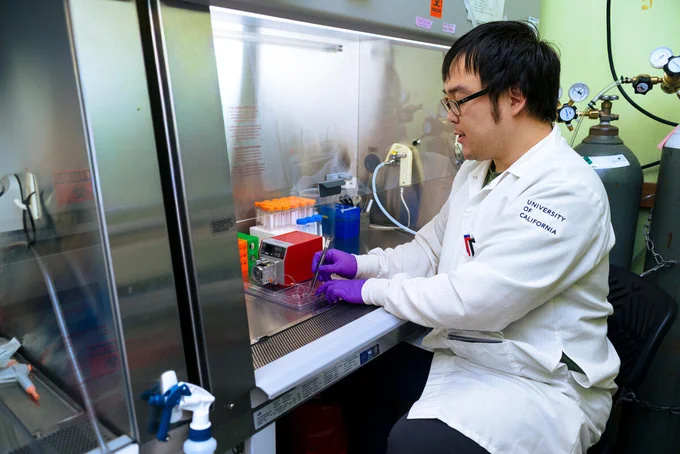 A researcher in white coat and glasses working inside biosafety cabinet, handling colorful sample containers and conducting bioengineering experimentation.