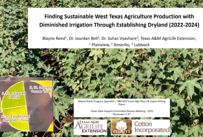 Finding Sustainable West Texas Agriculture Production with Diminished Irrigation Through Establishing Dryland (2022-2024)
