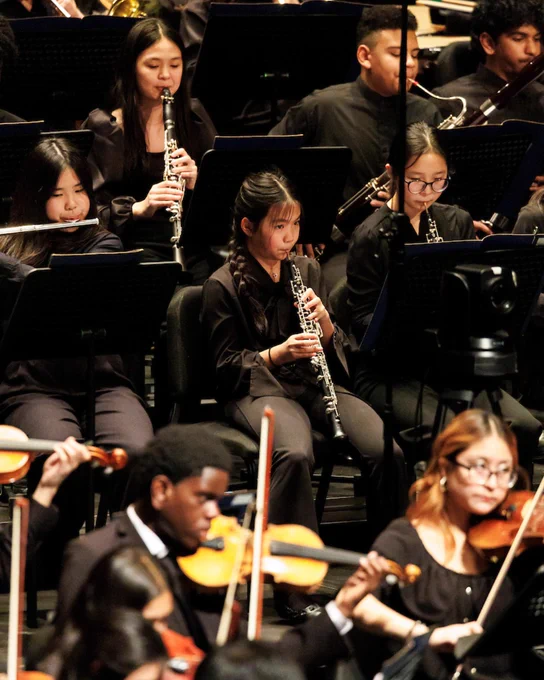 An orchestra performing on stage, with musicians playing violins, clarinets, and oboes. The ensemble is focused on their instruments, and they are wearing formal, dark attire.