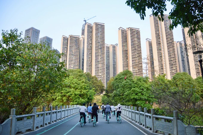 A group of people in casual business attire ride green shared bicycles along dedicated cycling infrastructure through a linear park lined with trees, water, and flowers, in Shenzhen, China.