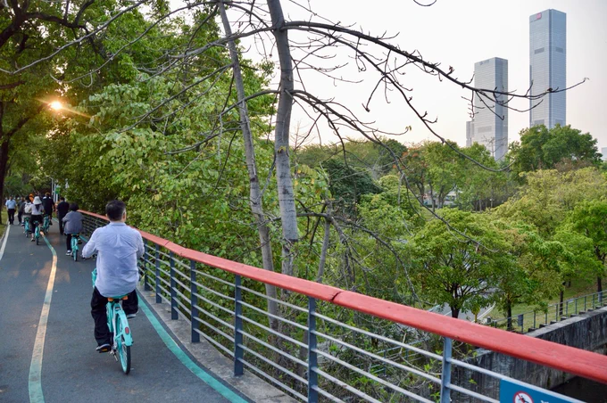 A group of people in casual business attire ride green shared bicycles along dedicated cycling infrastructure through a linear park lined with trees, water, and flowers, in Shenzhen, China.
