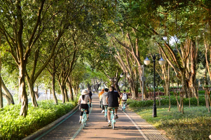 A group of people in casual business attire ride green shared bicycles along dedicated cycling infrastructure through a linear park lined with trees, water, and flowers, in Shenzhen, China.