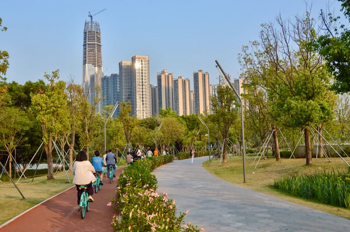 A group of people in casual business attire ride green shared bicycles along dedicated cycling infrastructure through a linear park lined with trees, water, and flowers, in Shenzhen, China.