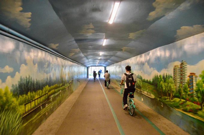 A group of people in casual business attire ride green shared bicycles along dedicated cycling infrastructure through a linear park lined with trees, water, and flowers, in Shenzhen, China.
