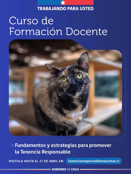 Curso de formación docente. 
Fundamentos y estrategias para promover la Tenencia Responsable.  
Postula hasta el 17 de abril en: tenenciaresponsablemascotas.cl 
