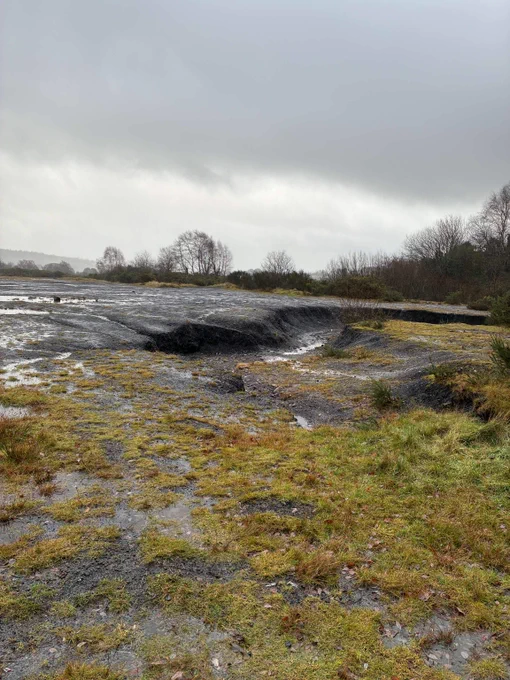 The British, a disused coal tip in Tal-y-Wain, Torfaen