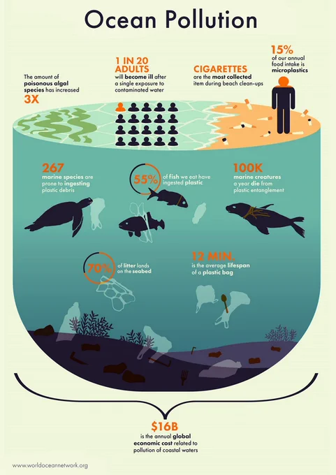 Infographic titled "Ocean Pollution" from worldoceannetwork.org, presenting key statistics about marine pollution across three visual layers representing the ocean surface, water column, and seabed.

Surface level highlights four facts: poisonous algal species have increased threefold; 1 in 20 adults will become ill after a single exposure to contaminated water; cigarettes are the most collected item during beach clean-ups; and 15% of our annual food intake consists of microplastics.

Mid-water level shows three statistics illustrated with silhouettes of marine animals: 267 marine species are prone to ingesting plastic debris (illustrated with a sea turtle); 55% of the fish we eat have ingested plastic (illustrated with fish among plastic bags); and 100,000 marine creatures die per year from plastic entanglement (illustrated with a seal tangled in debris). Two additional facts are noted: 70% of litter sinks to the seabed, and the average lifespan of a plastic bag is just 12 minutes.
