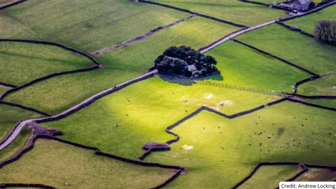 Aerial view of green farmland divided by stone walls with a cluster of trees and a small building in the center.