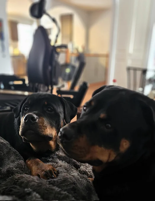 Chesnyy and Kenji on the couch. In the background is a power wheelchair