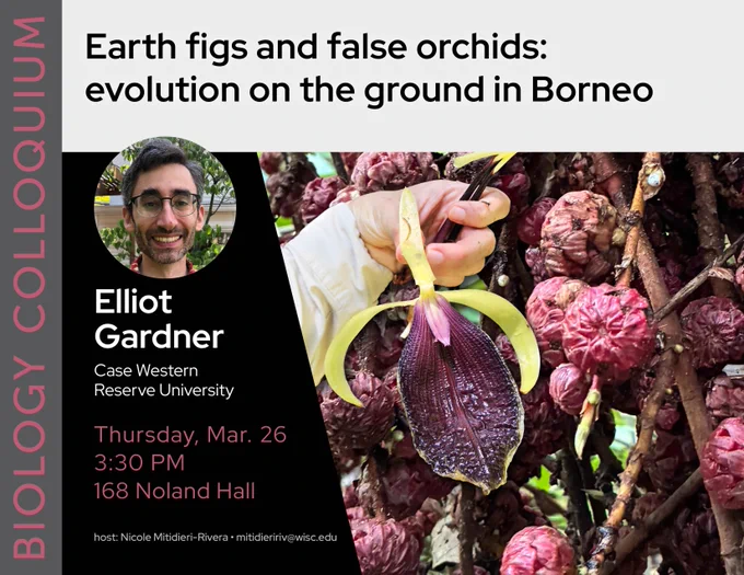 Earth figs and false orchids: evolution on the ground in Borneo. Speaker is Elliot Gardner from Case Western Reserve University. Event is Thursday March 26th at 3:30 in 168 Noland Hall.