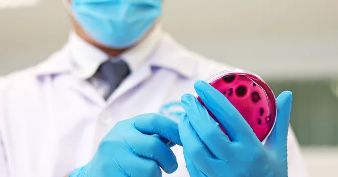 A person in a lab coat and blue gloves is examining a petri dish containing red agar with dark circular colonies. The individual is wearing a face mask. The background is blurred.