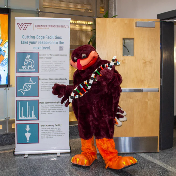 Hokie Bird smiling, holding a DNA molecule. 