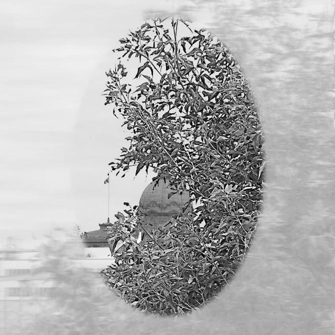 “03-01-LYR-BS Art Still NFT”
