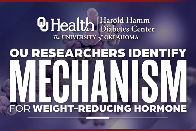 The image features the OU Health and Harold Hamm Diabetes Center logos with the University of Oklahoma name. It announces "OU Researchers Identify Mechanism for Weight-Reducing Hormone" in bold text.