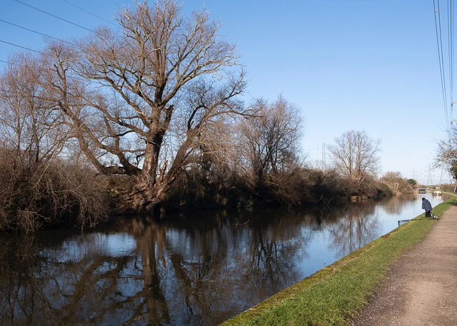 River Lea photograph
