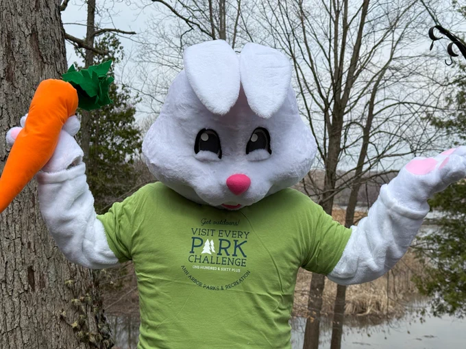Have your picture taken w/Hopps the Bunny   make a craft 10-11 a.m. Parks:
March 30, Sugarbush
March 31, Olson
April 1, Bandemer
April 2, Allmendinger
April 3, Sylvan
Events lead up to the Hop, Skip, Spring event April 4 that requires registration: https://url.a2gov.org/hop 
