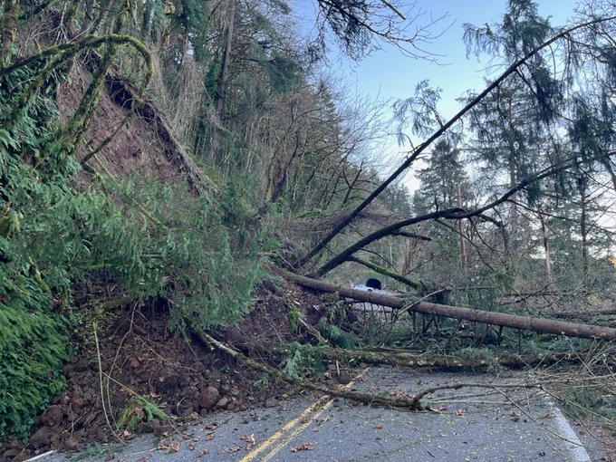Trees and powerlines blocking NW Cornell Road between the tunnels on March 27, 2026. 