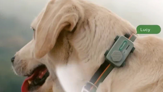 This AI pet collar lets your dog call you now, and people are already imagining the worst