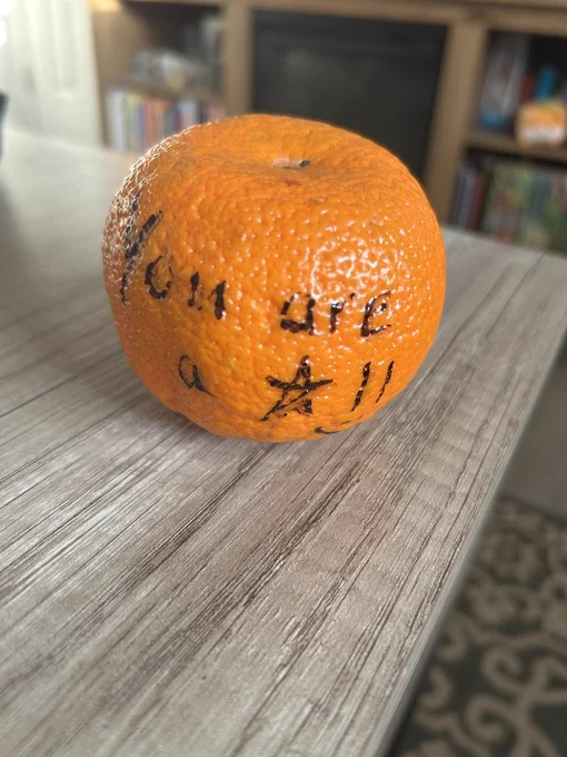 pic of orange
