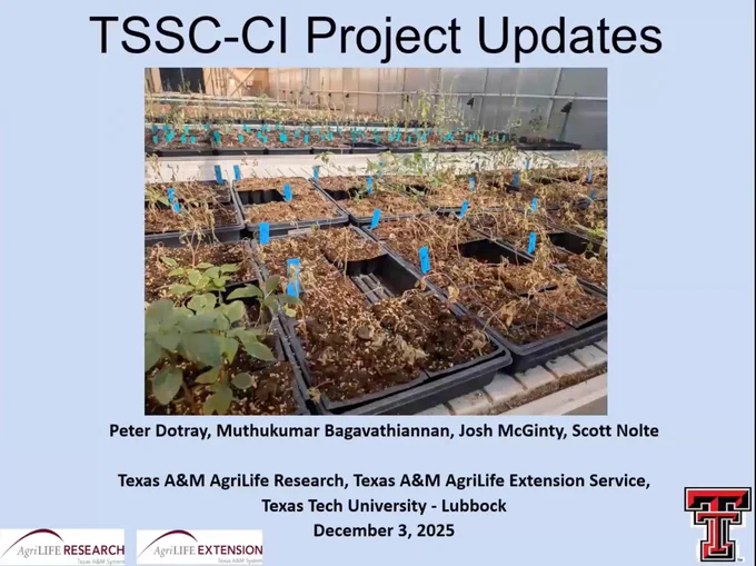 TSSC-CI Project Updates