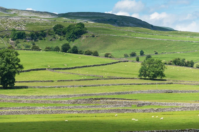 Rolling green hills divided by stone walls under a partly cloudy sky in a rural landscape.