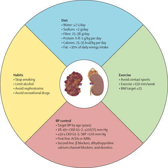Figure: Conservative management for all patients with ADPKD