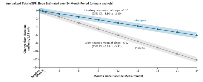 A figure showing the change from baseline in the estimated glomerular filtration rate (eGFR) for iptacopan and placebo as the estimated slope for the primary end point (primary analysis).