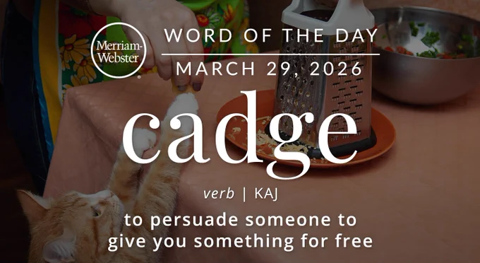 Merriam-Webster Word of the Day for March 29, 2026: 'cadge' verb | KAJ "to persuade someone to give you something for free" Background Image: a cat reaching up to a table where a hand is giving the cat freshly grated cheese