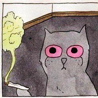 A picture Fedor associates himself with. 
ALT: a cat with red eyes open wide, holding a blunt