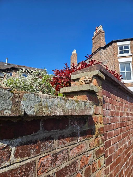 Small relief of a smiling cat on a wall. Houses behind, blue sky and a sunny day. Some red and green foliage behind the wall.